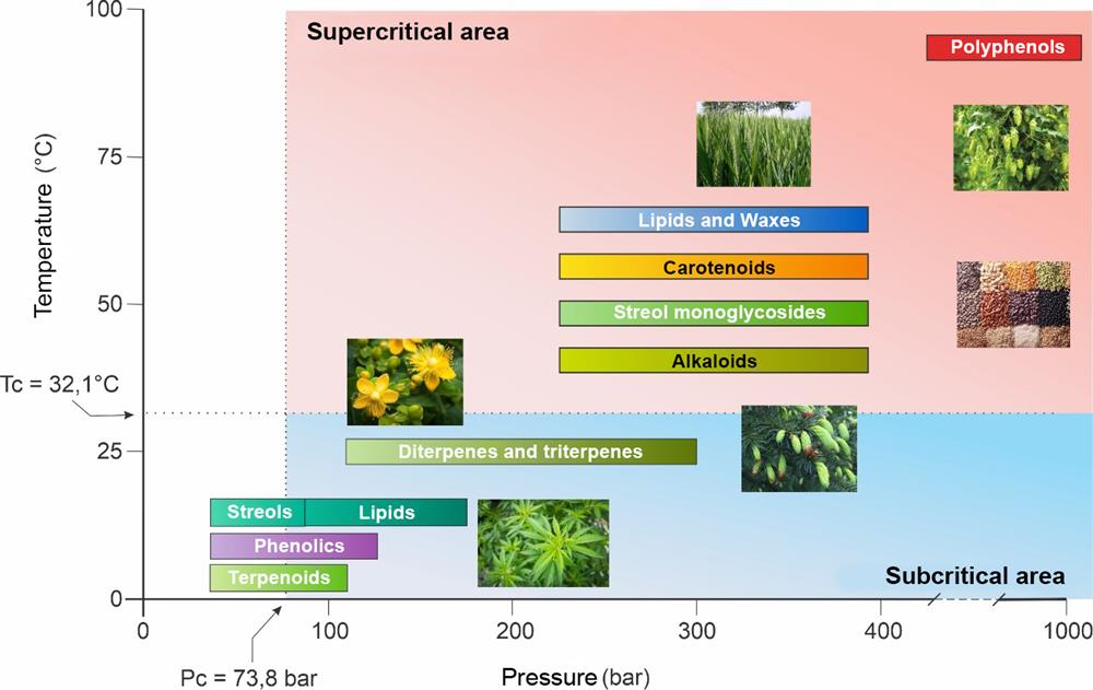 Possibilities of extraction with CO2 in subcritical and supercritical conditions